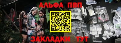 индика Новодвинск