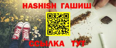 индика Новодвинск