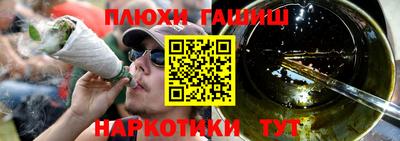 индика Новодвинск