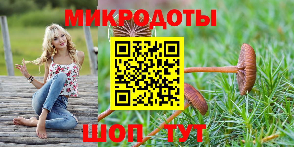 Галлюциногенные грибы Psilocybe Владимир