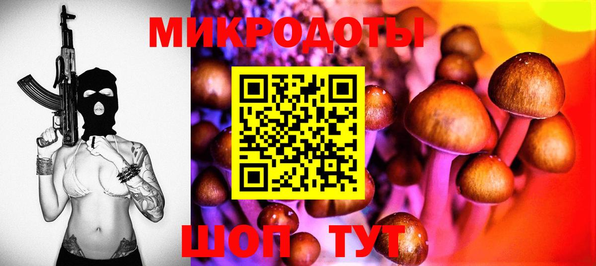 Псилоцибиновые грибы MAGIC MUSHROOMS  Вход с VPN  где продают   Псилоцибиновые грибы GOLDEN TEACHER  Владимир 